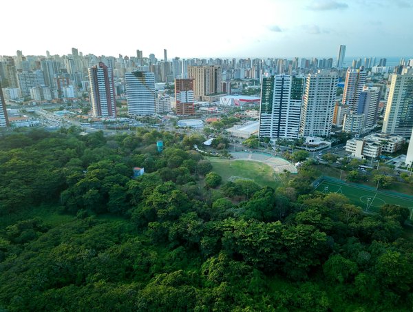 Panneau solaire photovoltaïque : le choix pour un futur écoénergétique
