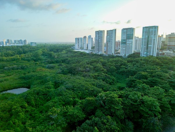 Top applications pour auto-entrepreneurs : efficacité simplifiée